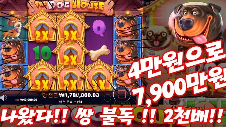 슬롯나라 프라그마틱 도그하우스(개집) 4만원으로 7900만원!? 쌍불독!! 영상~! (pragmatic slot : doghouse gave me big win!!!) en 2024